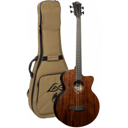 Acoustic Bass mit Pickupsystem