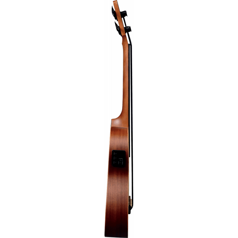 Tiki Bass Fretless Cutaway Acoustic Electric