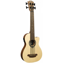 Bass Ukulele