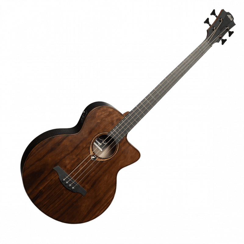 Acoustic-Electric Bass Cutaway