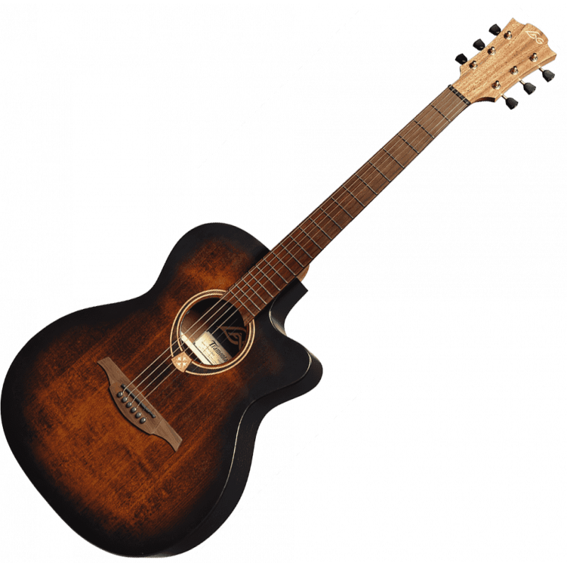 Auditorium Cutaway Acoustic-Electric Black & brown