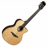 Nylon Auditorium Cutaway Smart Guitar