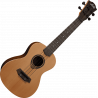 Ukulele Concert