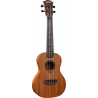 Ukulele Concert Slim Arched Back