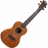 Concert Ukulele Slim Arched Back