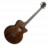 Acoustic-Electric Bass Cutaway