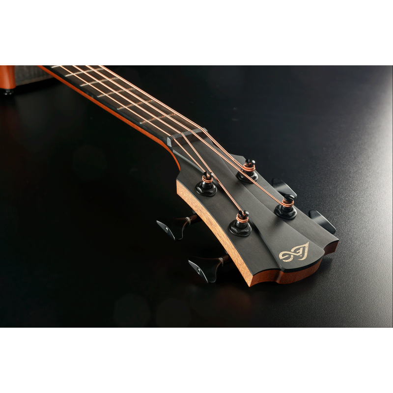 Acoustic-Electric Bass Cutaway