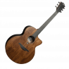 Jumbo Acoustic-Electric