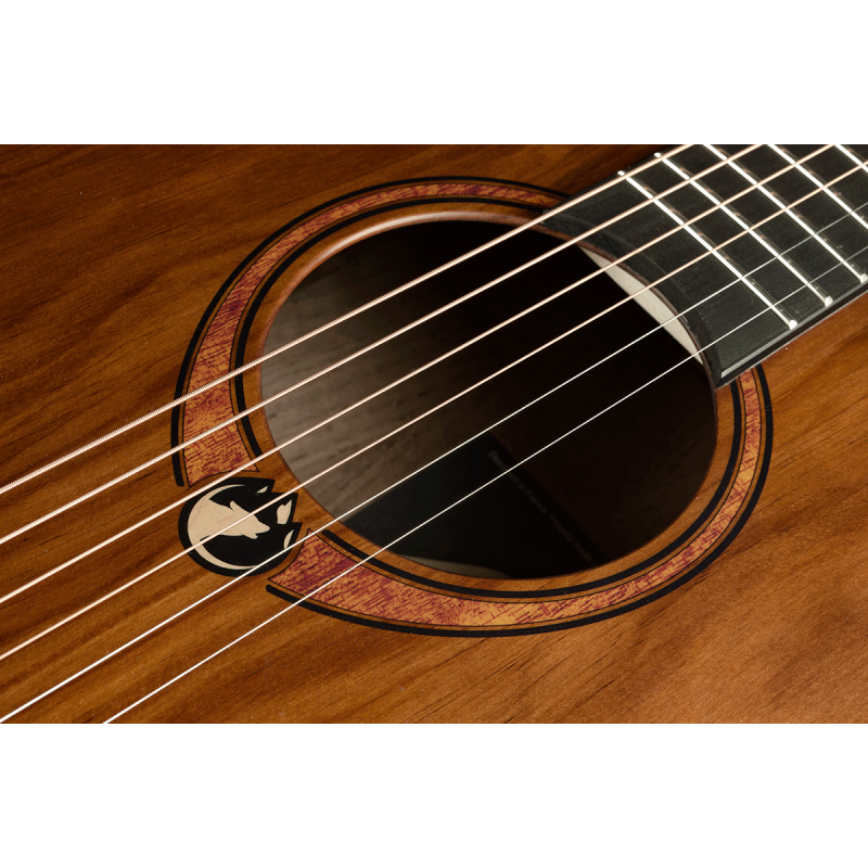 Jumbo Acoustic-Electric