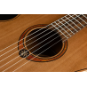 Travel Nylon Red Cedar Acoustic-Electric