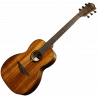 Parlor Acoustic-Electric Natural