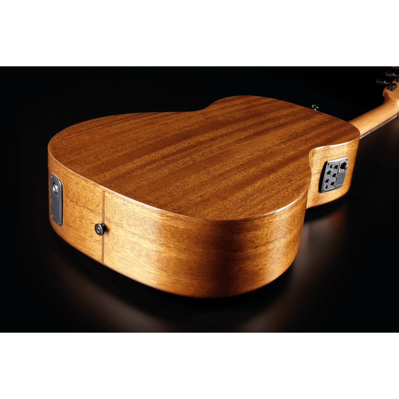 Parlor Acoustic-Electric Natural