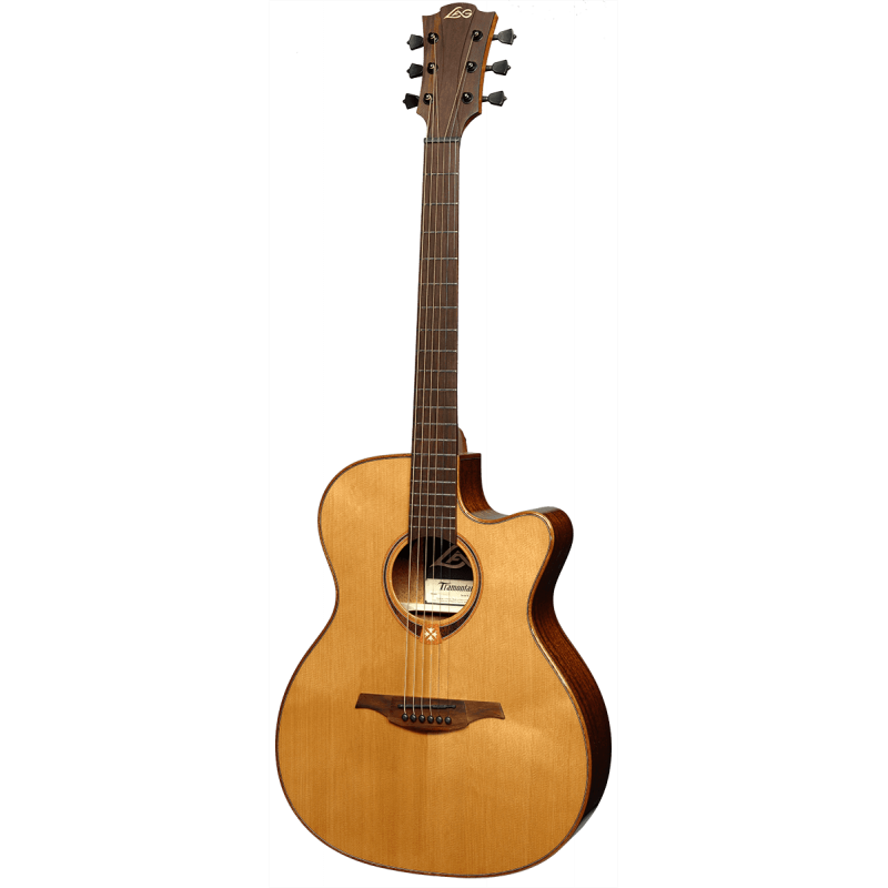 Auditorium Cutaway Acoustic-Electric Natural