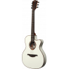 Auditorium slim Cutaway Acoustic-Electric Ivory