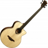 Bass Acoustic-Electric Cutaway Natural