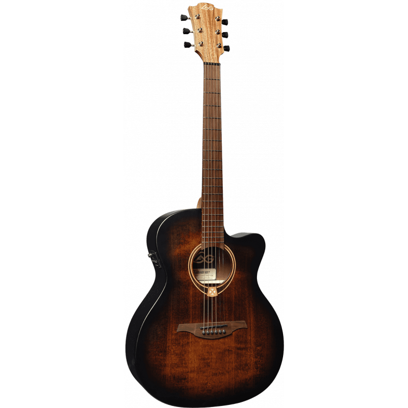 Auditorium Cutaway Acoustic-Electric Black & brown