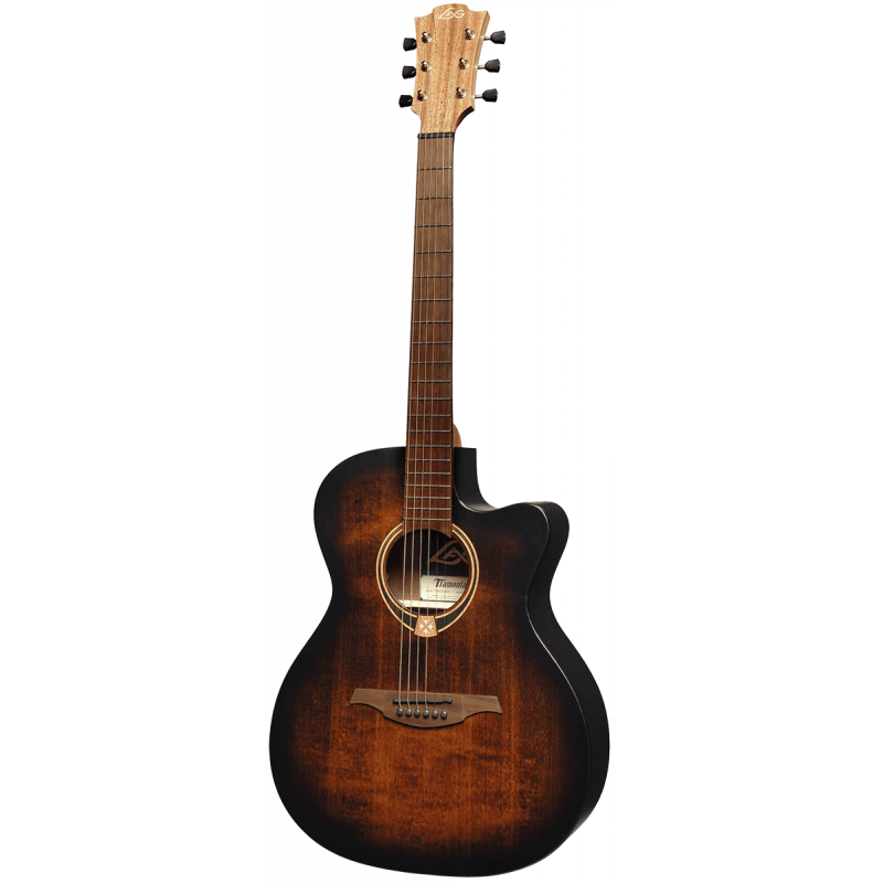 Auditorium Cutaway Acoustic-Electric Black & brown