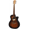 Auditorium Cutaway Acoustic-Electric Black & brown