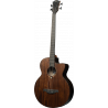 Acoustic-Electric Bass Cutaway