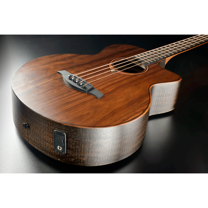 Acoustic-Electric Bass Cutaway