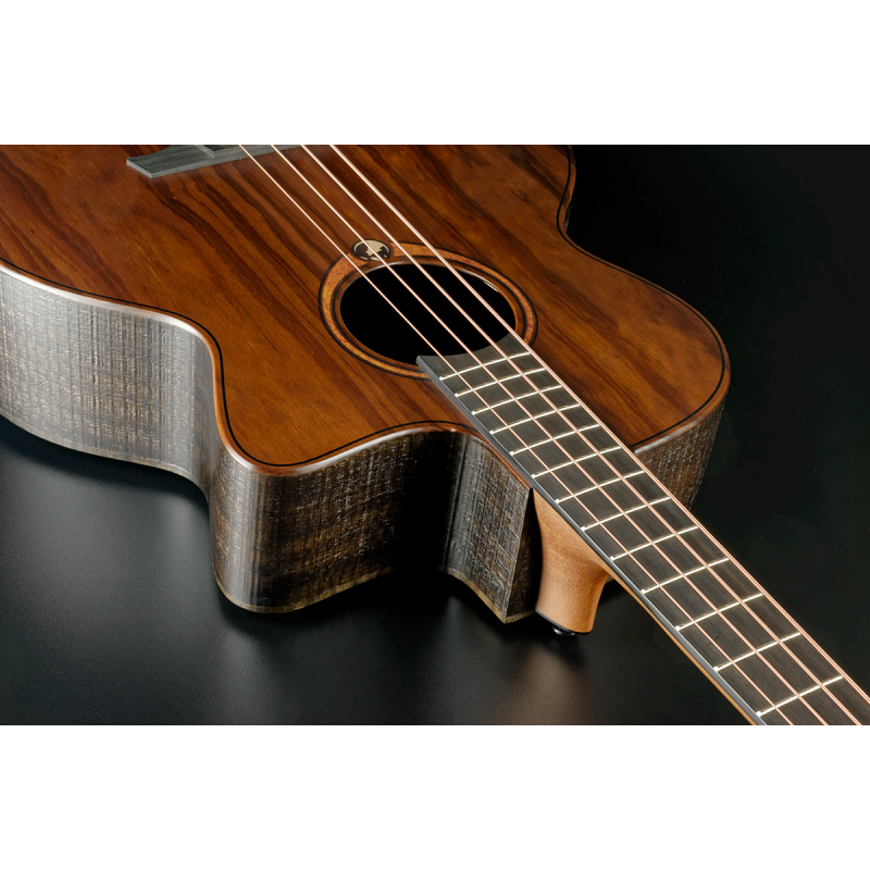 Acoustic-Electric Bass Cutaway