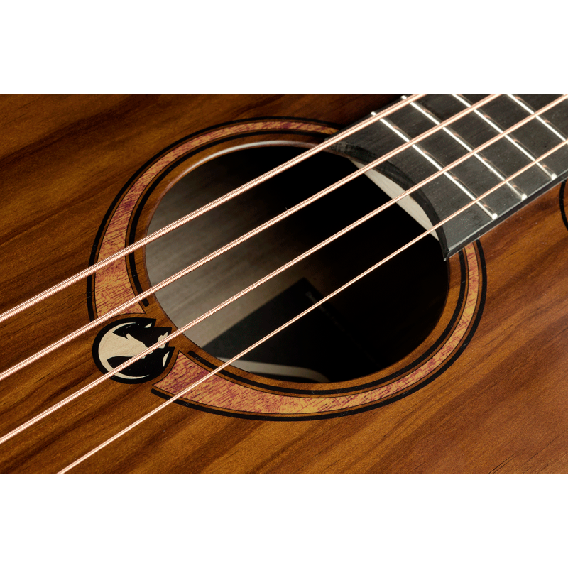 Acoustic-Electric Bass Cutaway