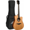 Dreadnought Cutaway Smart Guitar