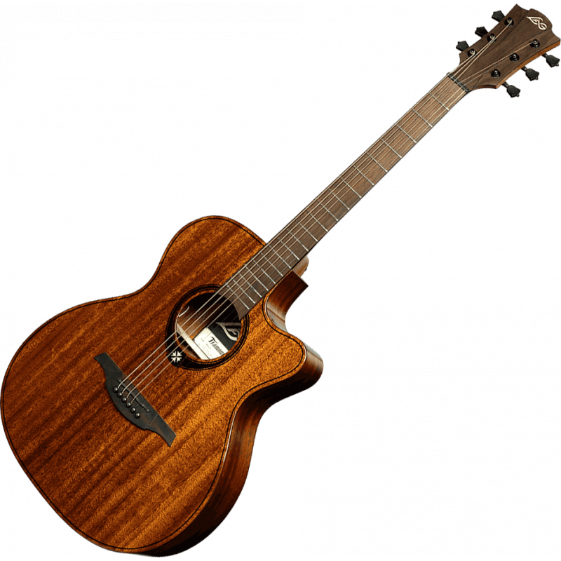 Auditorium Cutaway Acoustic-Electric Natural