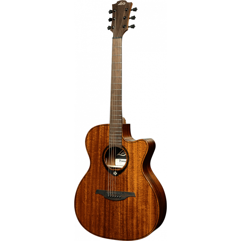 Auditorium Cutaway Acoustic-Electric Natural