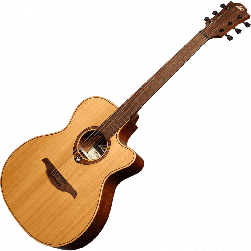 Auditorium Cutaway Acoustic-Electric Natural