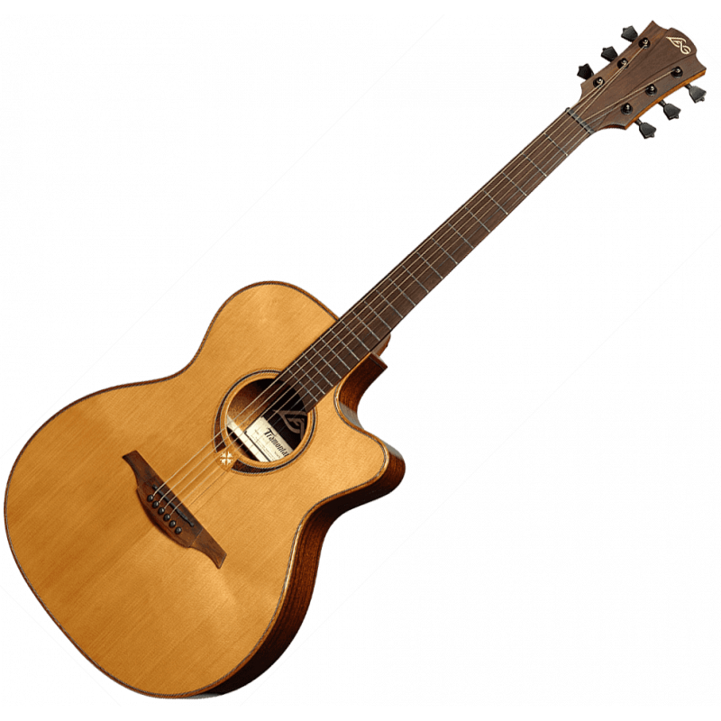 Auditorium Cutaway Acoustic-Electric Natural