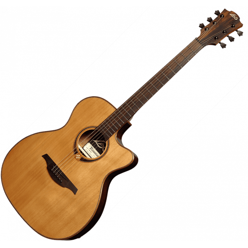 Auditorium slim Cutaway Acoustic-Electric Natural