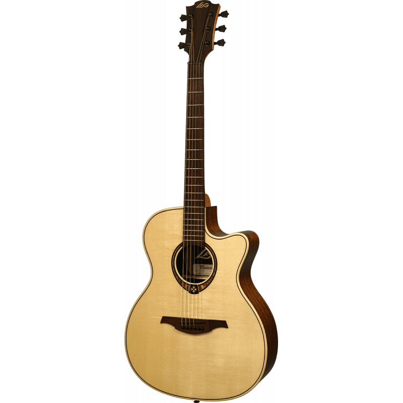 Auditorium Cutaway Acoustic-Electric Natural