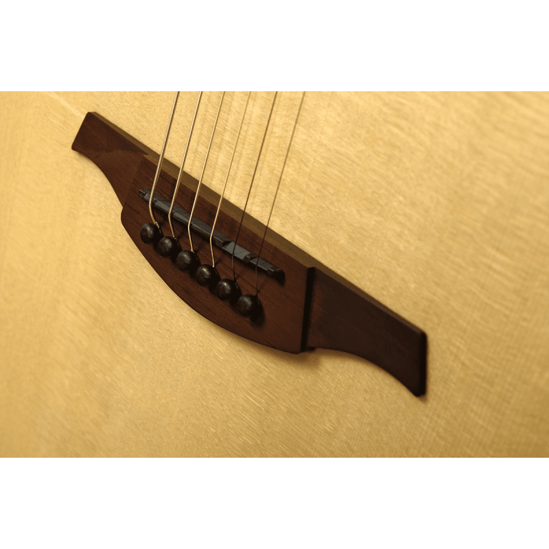 Auditorium Cutaway Acoustic-Electric Natural