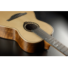 Michel Haumont parlor Acoustic-Electric