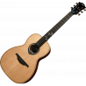 Michel Haumont Parlor Smart Guitar