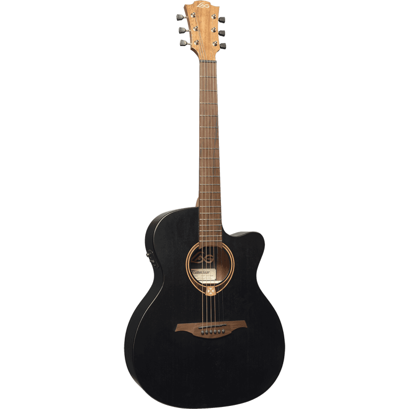 Auditorium Black Cutaway Acoustic-Electric