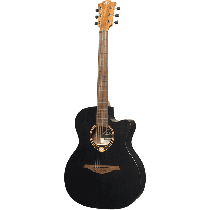 Auditorium Black Cutaway Acoustic-Electric